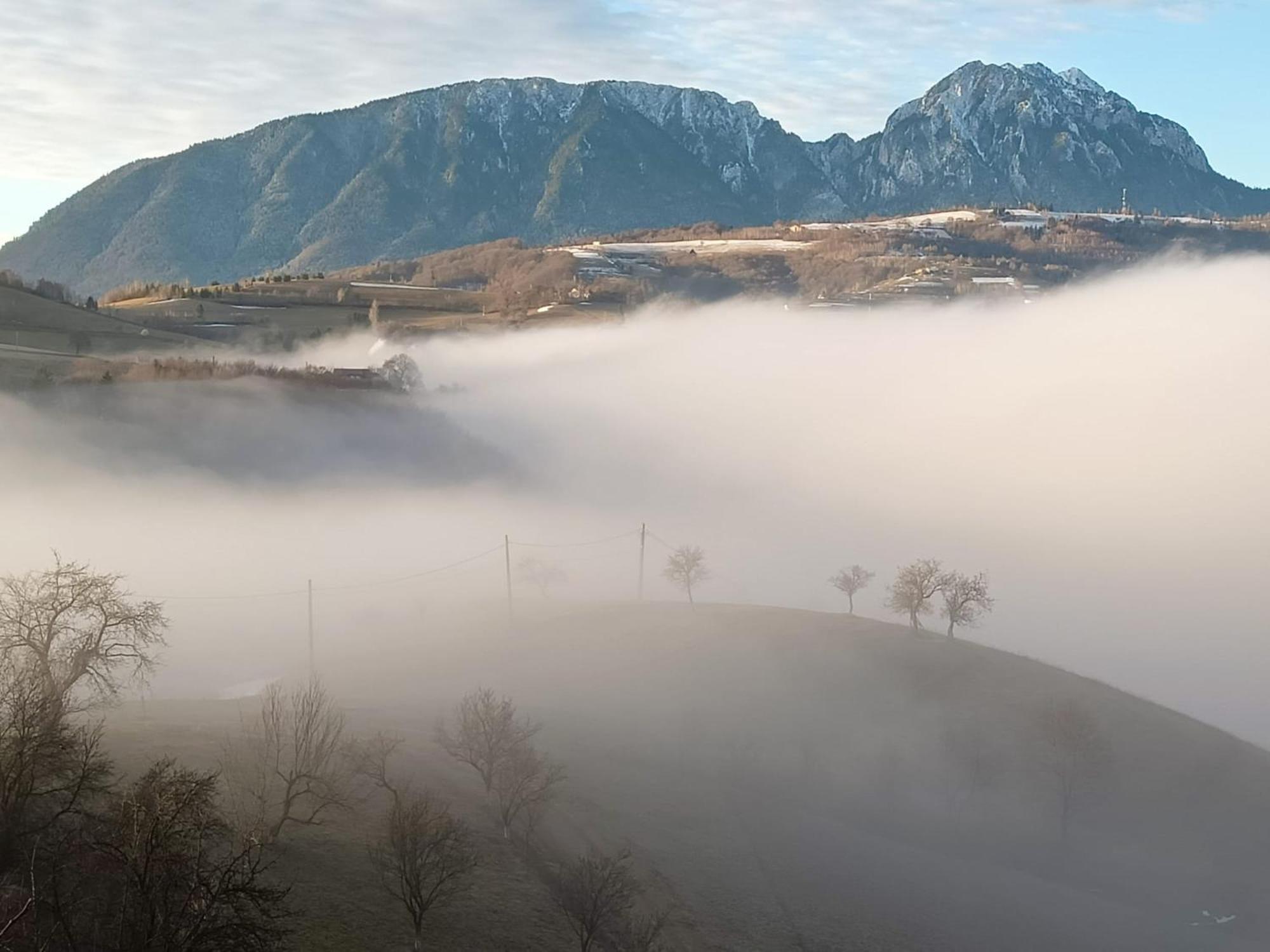 Casa Din Livada, Poiana Marului, Brasov Villa ภายนอก รูปภาพ
